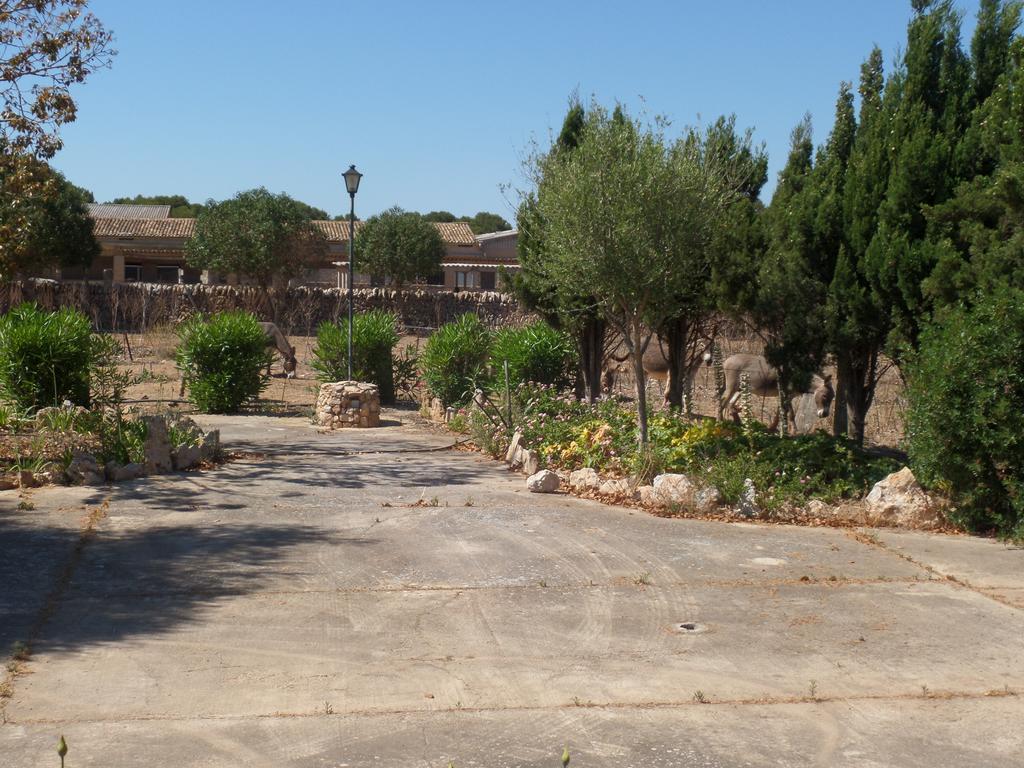 Sa Torre Sa Bassa Crua Agroturismo מראה חיצוני תמונה
