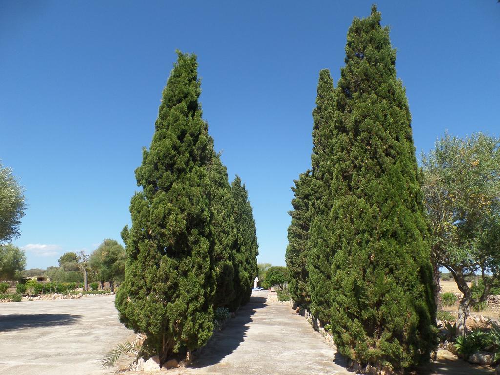 Sa Torre Sa Bassa Crua Agroturismo מראה חיצוני תמונה
